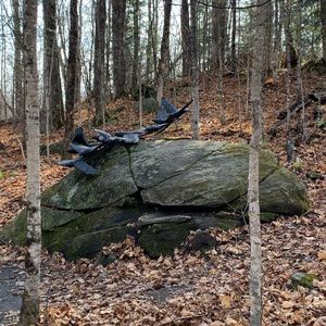 Meet your Posher, Dawn